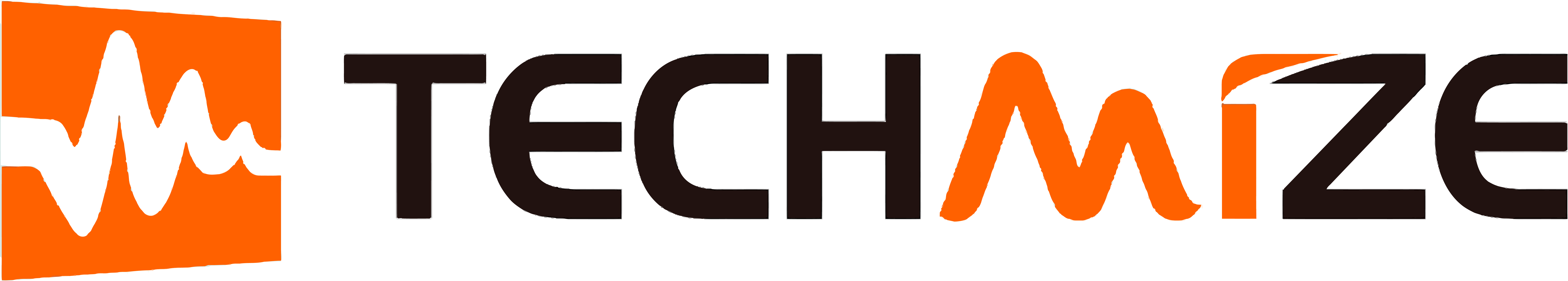 Techmize 