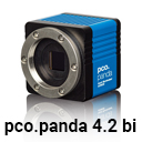 pco.panda 4.2 bi.jpg