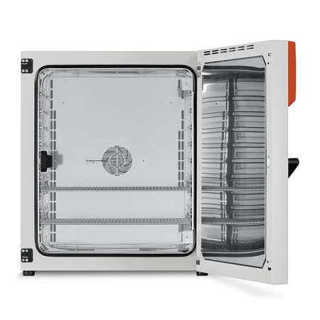 Термостат Binder BF 260 (BF260UL-120V) Термостат Binder BF 260 (BF260UL-120V)