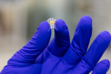 Ученые ИТМО впервые представили прототип фотодетектора на основе углеродных нанотрубок и перовскитов