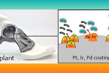Сотрудники ИНХ СО РАН проанализировали возможности по модификации материалов медицинских имплантатов