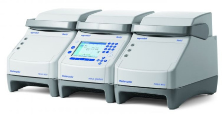 ДНК-амплификатор Eppendorf Mastercycler nexus eco              
