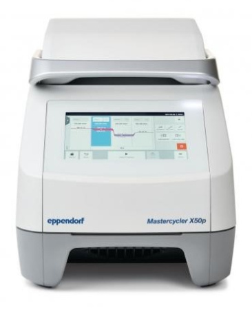 ДНК-амплификатор Eppendorf Mastercycler X50p                                  