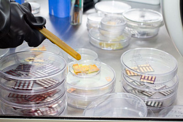 Найден новый способ повысить энергоэффективность солнечных батарей