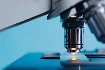 Исследователи создали новый тип структуры холестерика с уникальным откликом на электрическое поле