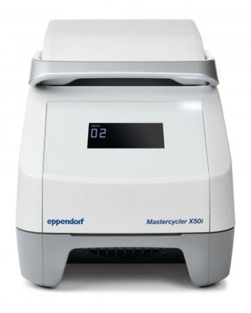 ДНК-амплификатор Eppendorf Mastercycler X50i