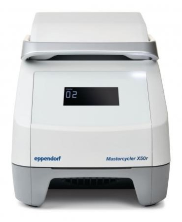 ДНК-амплификатор Eppendorf Mastercycler X50r                             