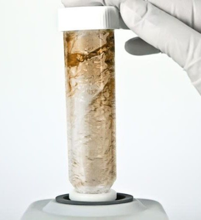 Вортекс Biosan V-1 plus