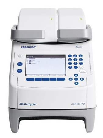 ДНК-амплификатор Eppendorf Mastercycler nexus GX2                    