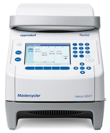 ДНК-амплификатор Eppendorf Mastercycler nexus GSX1                      ДНК-амплификатор Eppendorf Mastercycler nexus GSX1