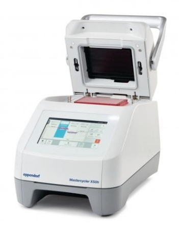 ДНК-амплификатор Eppendorf Mastercycler X50h                                