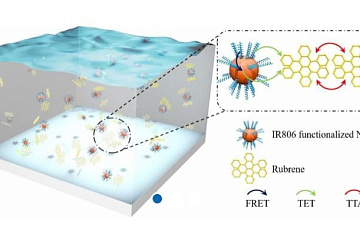 Физики ТГУ разработали модель для определения эффективности переноса энергии и заряда в наноматериалах